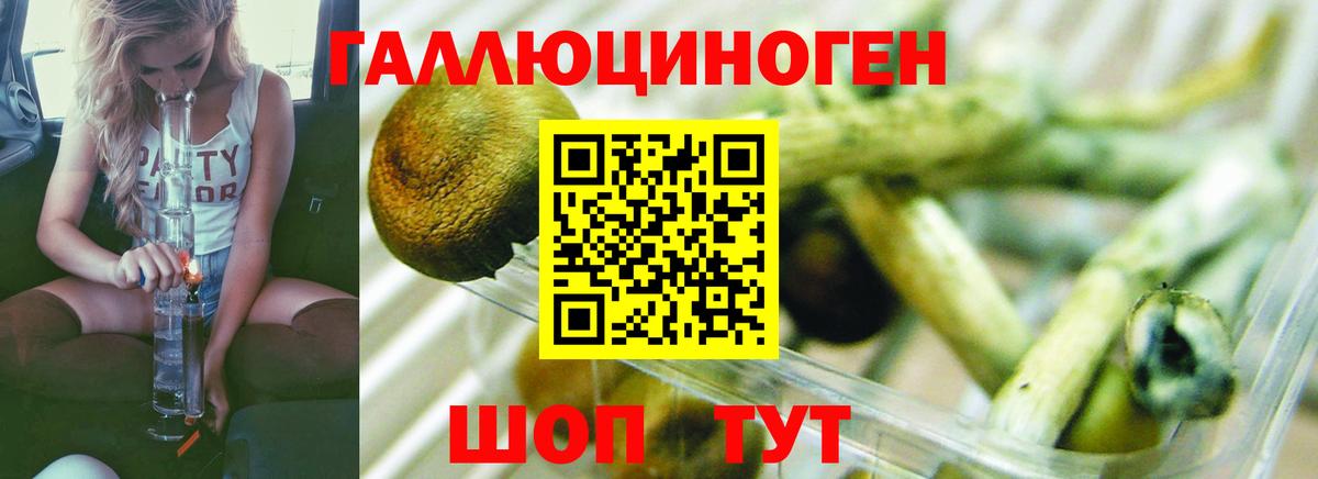 Кандалакша  Галлюциногенные грибы GOLDEN TEACHER  Вход с VPN 