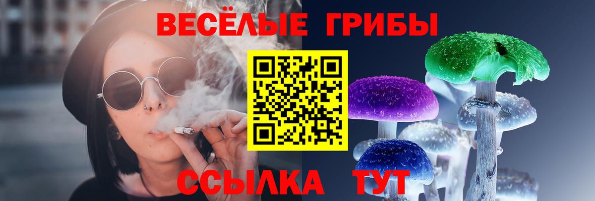 Галлюциногенные грибы мухоморы Кандалакша